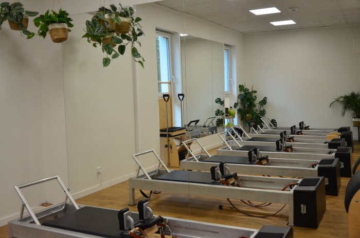 Reformer